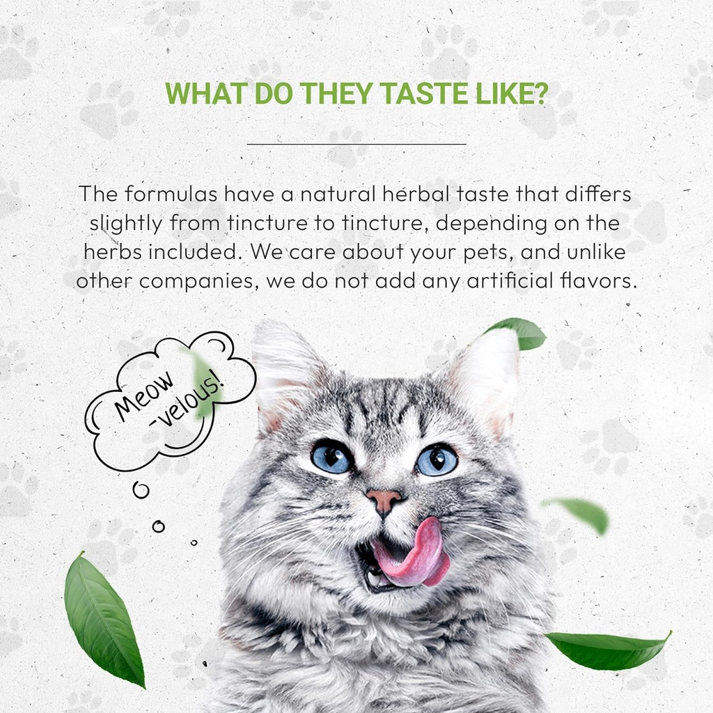lions-respiratory-natural-herbal-dietary-4.jpg