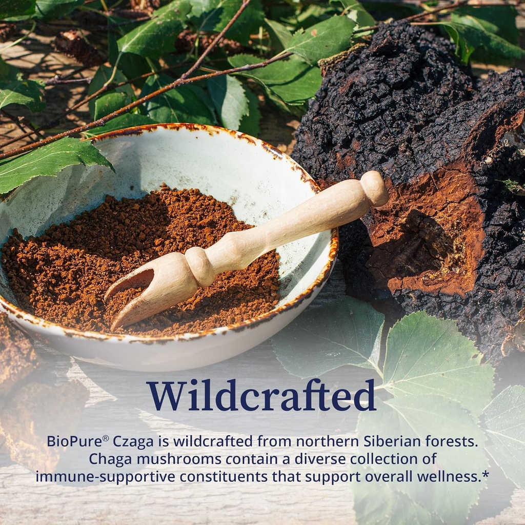 biopure-czaga-freeze-dried-siberian-extr-5.jpg