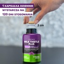 orzax-milk-thistle-250-mg---liver-cleans-3.jpg