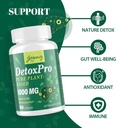 1000-mg-gentle-detox-cleanse-high-potent-6.jpg