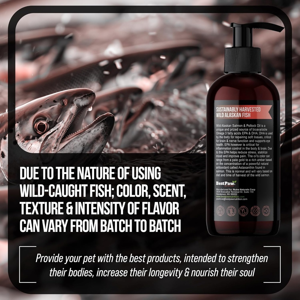 pure-wild-alaskan-salmon-pollock-oil-for-6.jpg