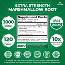 zazzee-usda-organic-marshmallow-root-101-3.jpg