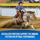 equine-total-rejuvenate-equine-oral-past-5.jpg