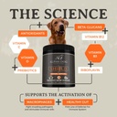 shield-allergy-immune-support-supplement-2.jpg