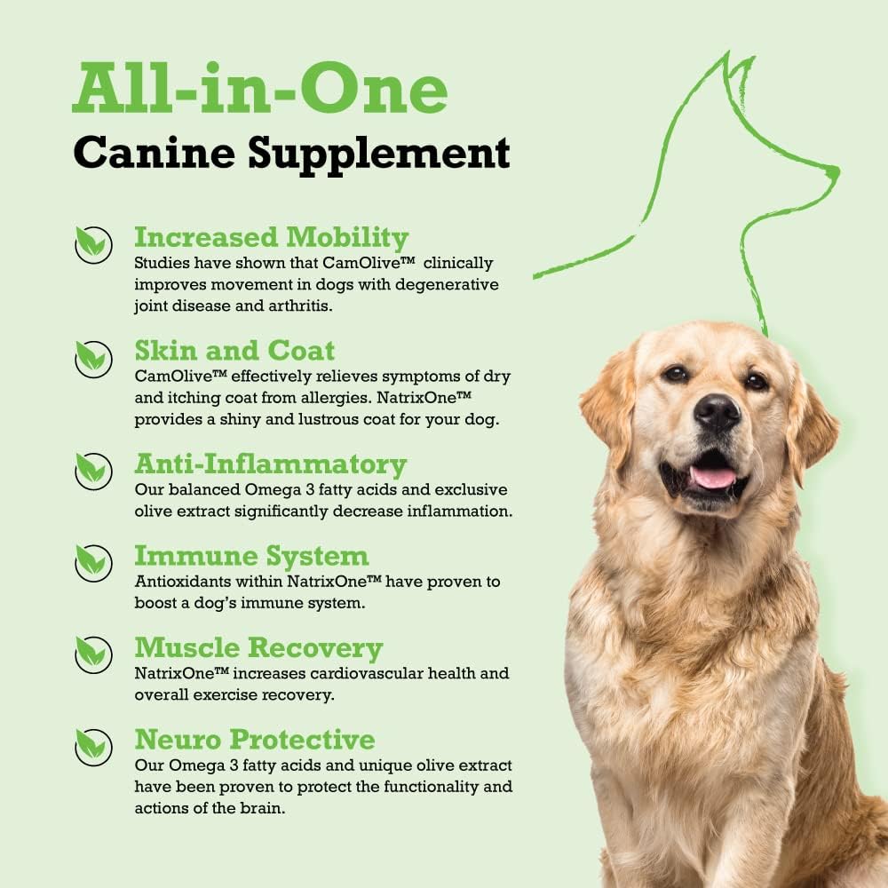 100-pure-camelina-oil-for-dogs-16-oz---d-2.jpg