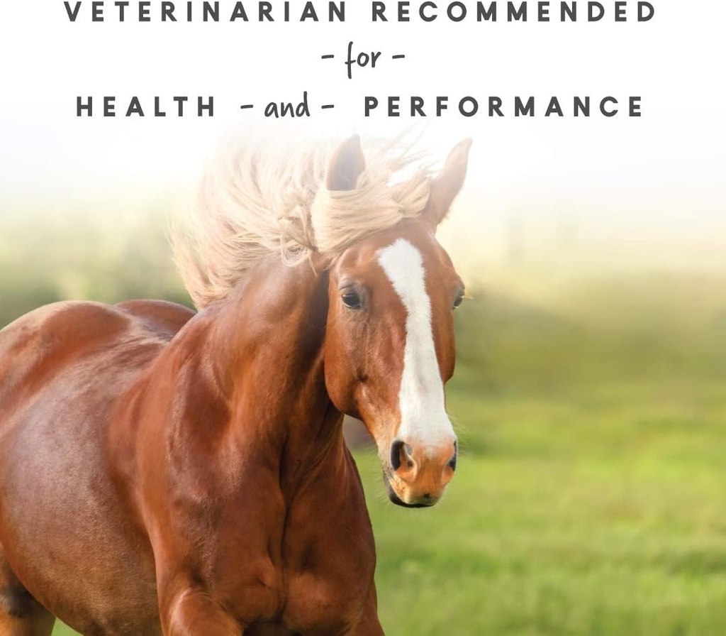 manna-pro-sho-glo-supplement-for-horses--6.jpg