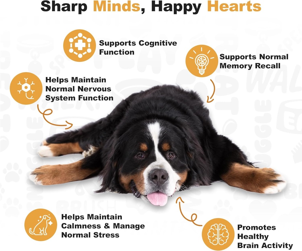 doggie-dailies-cognitive-puppy-chews-vit-4.jpg