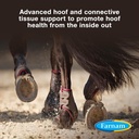 farnam-horseshoers-secret-extra-strength-2.jpg