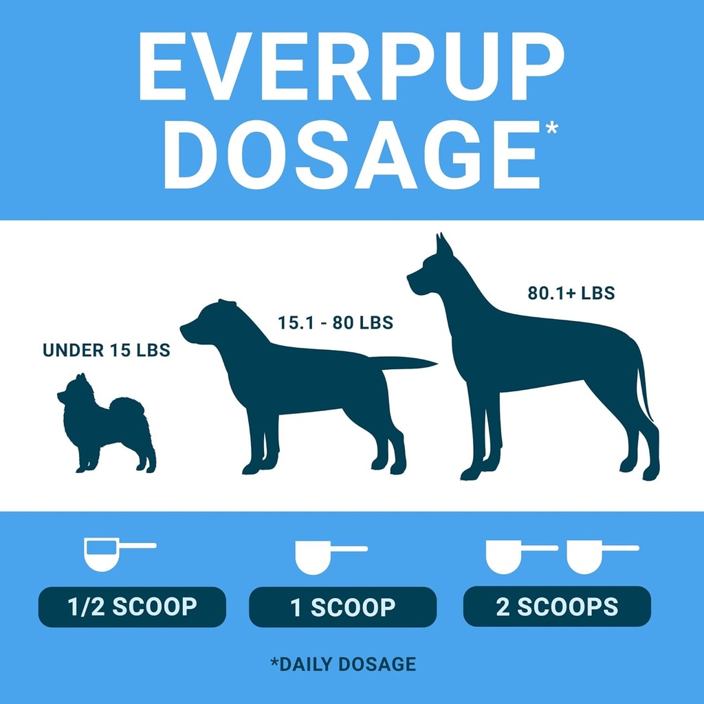 everpup-multivitamin-dog-supplement---gl-6.jpg