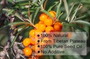 ulthmok-premium-sea-buckthorn-seed-oil10-2.jpg