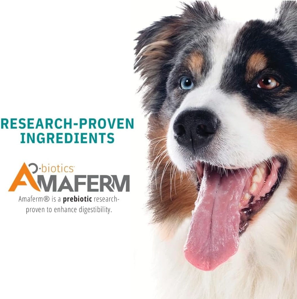 vitalize-dog-gel---after-surgery-recover-5.jpg