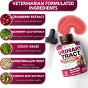 cat-dog-uti-treatment---urinary-tract-in-3.jpg