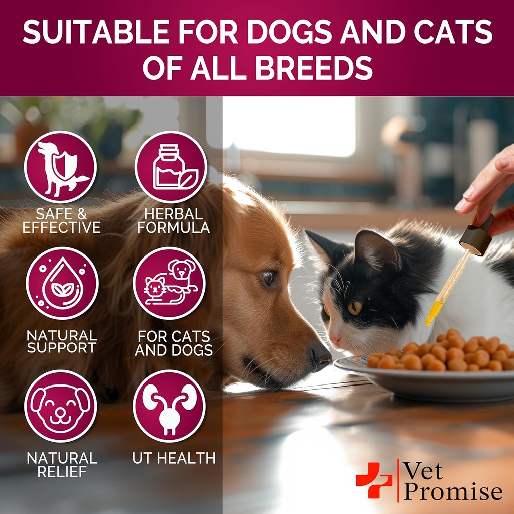 cat-dog-uti-treatment---urinary-tract-in-4.jpg