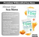 atlantic-naturals-sea-moss-7-day-full-bo-3.jpg