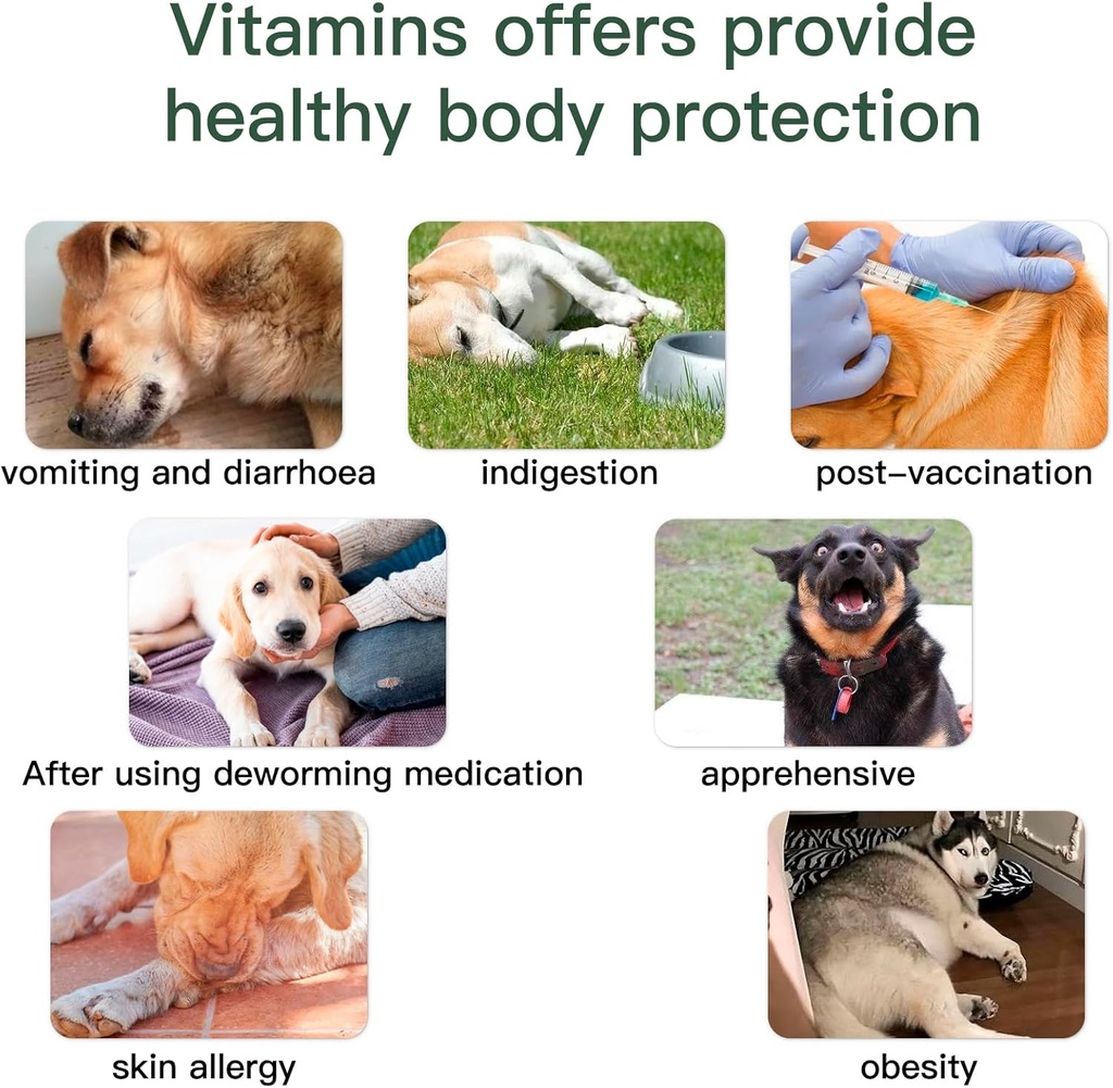 dog-multivitamin-chewable-vitamins-for-d-5.jpg