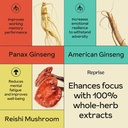 focus-gummies-with-american-ginseng-kore-3.jpg