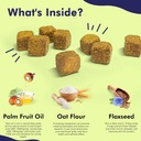 probiotics-for-dogs--dog-probiotics-for--2.jpg