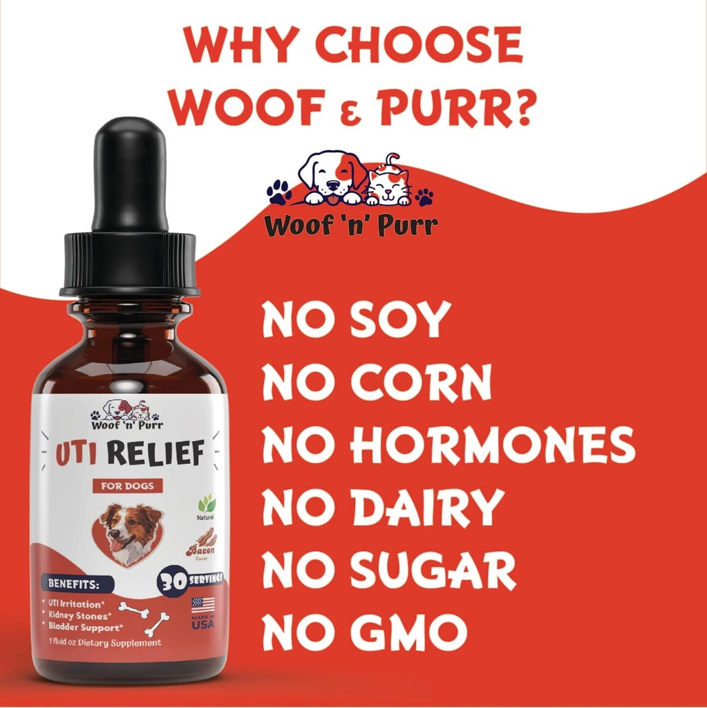 natural-dog-uti-treatment---dog-uti---do-6.jpg