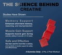 120-creatine-monohydrate-gummies-for-men-4.jpg