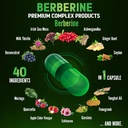 zolotus-berberine-supplement-40-in-1-wit-3.jpg