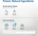 north-american-herb-spice-collagen-power-3.jpg