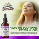 mullein-tincture-extract-organic-mullein-2.jpg