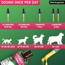 cat-dog-urinary-tract-infection-treatmen-6.jpg