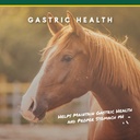 corta-flx-u-gard-powder-equine-digestive-2.jpg