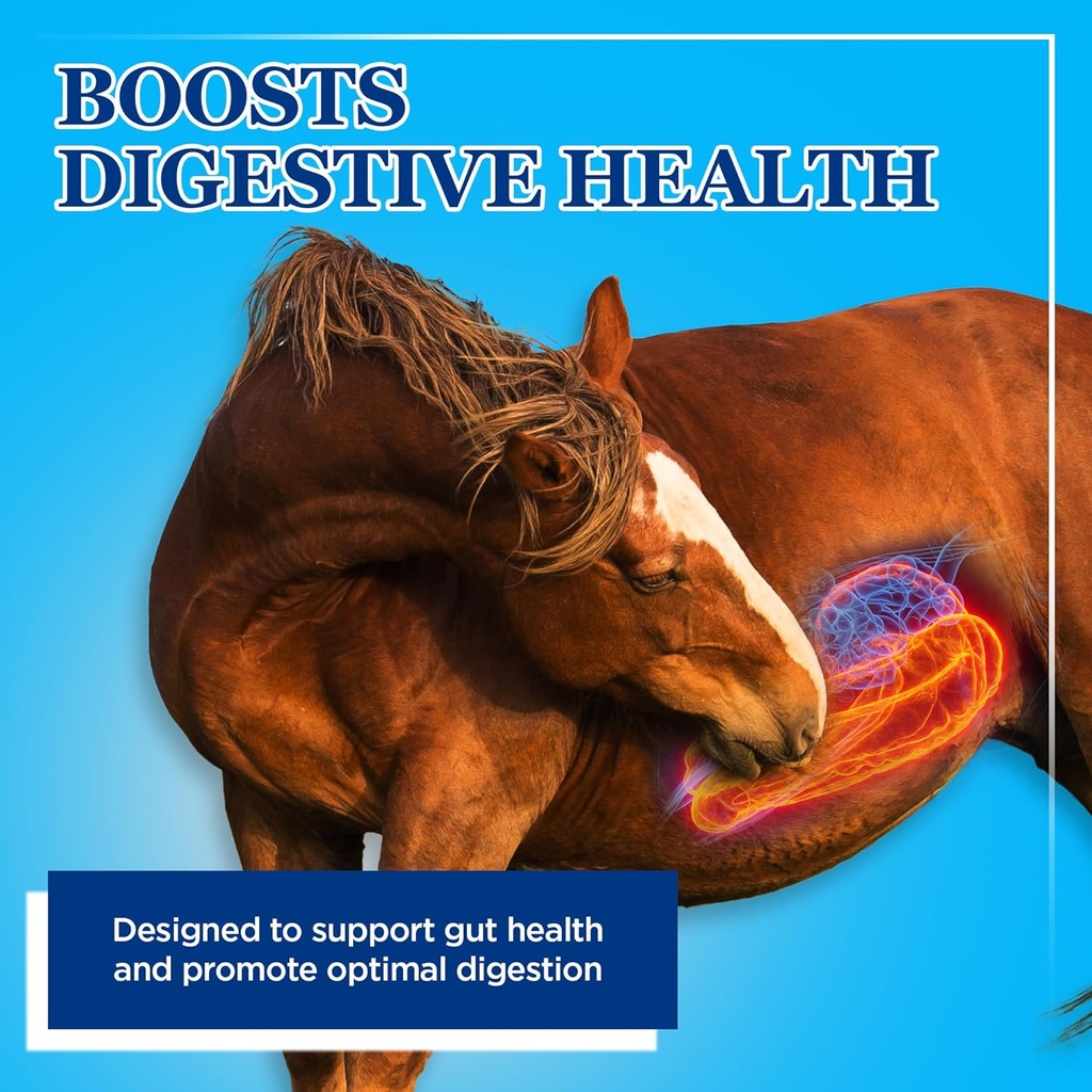 equerrys-large-animal-probiotic-suppleme-2.jpg