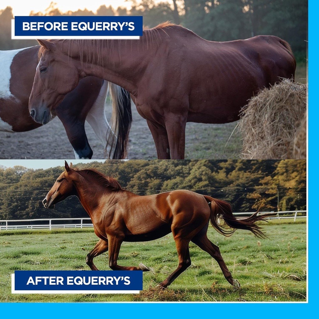 equerrys-large-animal-probiotic-suppleme-5.jpg