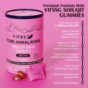 shilajit-gummies-3000-mg-shilajit-pure-h-5.jpg
