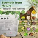 silver-lining-herbs-total-body-horse-sup-3.jpg