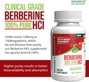 natures-science-berberine-hcl-with-phyto-4.jpg