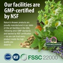 natures-answer-st-johns-wort-alcohol-fre-6.jpg