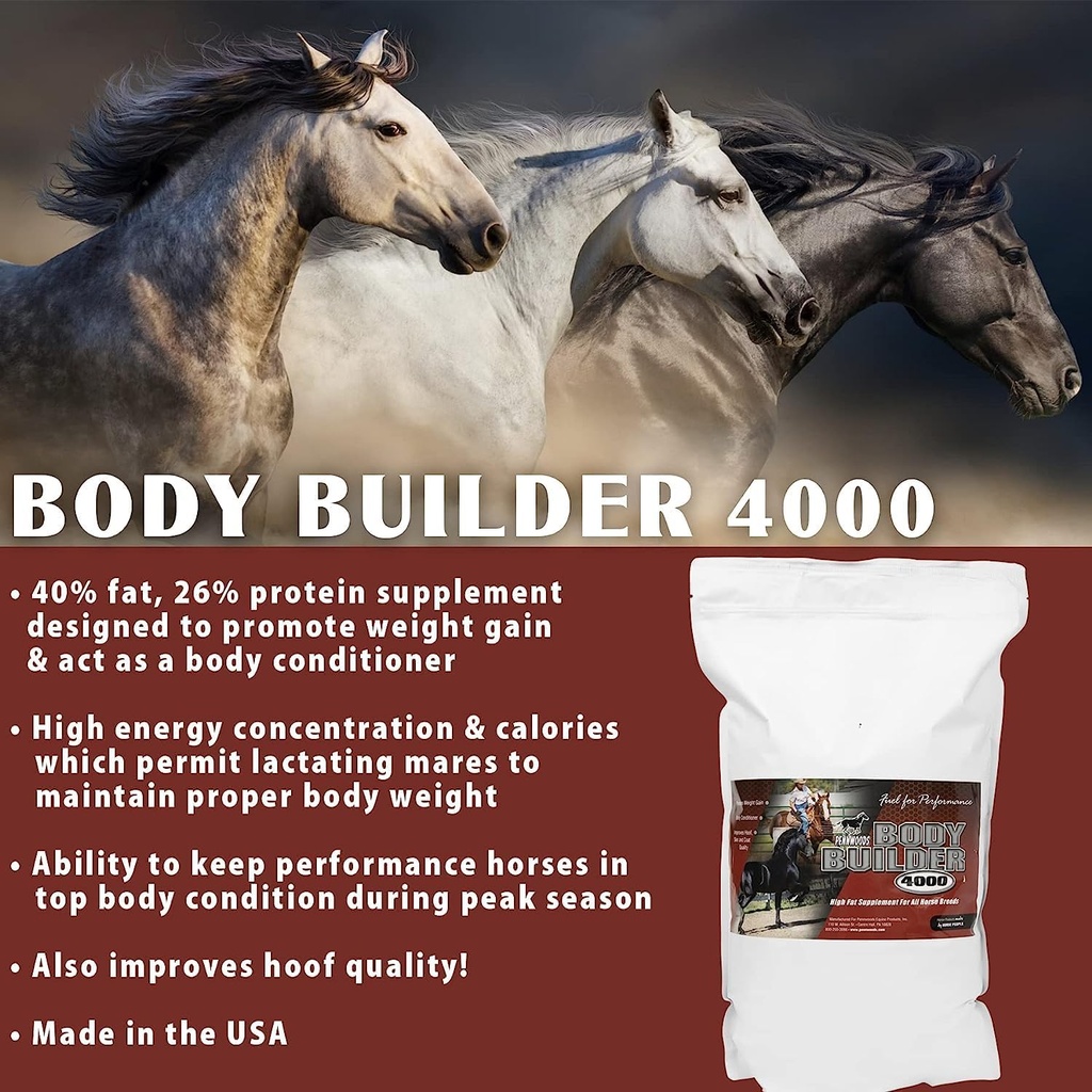 pennwoods-body-builder-4000-horse-weight-3.jpg