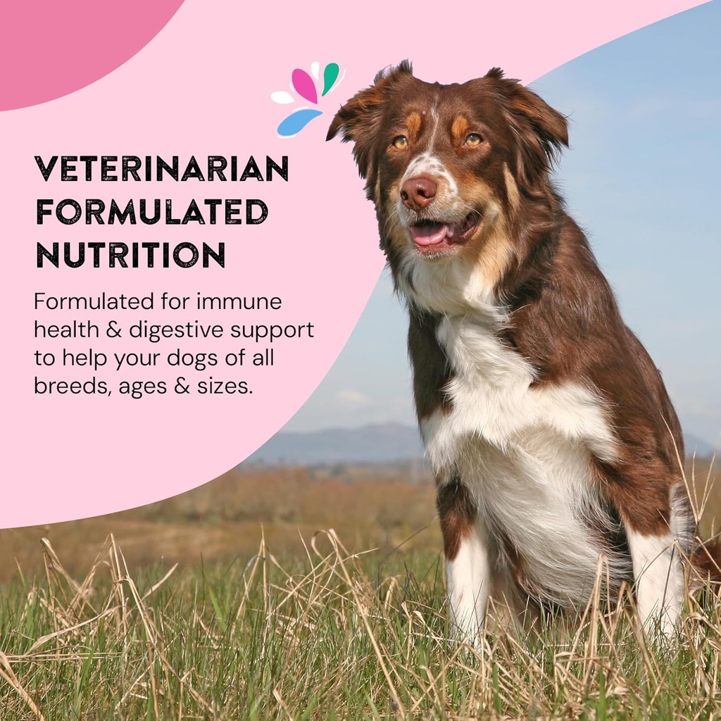 daily-wellness-supplements-for-dogs-boos-5.jpg