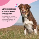 daily-wellness-supplements-for-dogs-boos-5.jpg