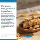 euromedica-bospro---boswellia-serrata-ex-5.jpg