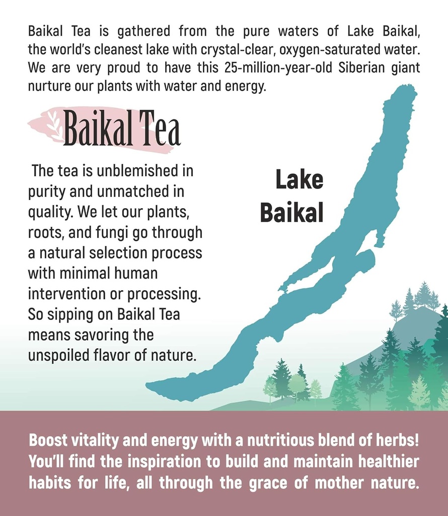 chaga-tea---100-wild-siberian-birch-chag-4.jpg