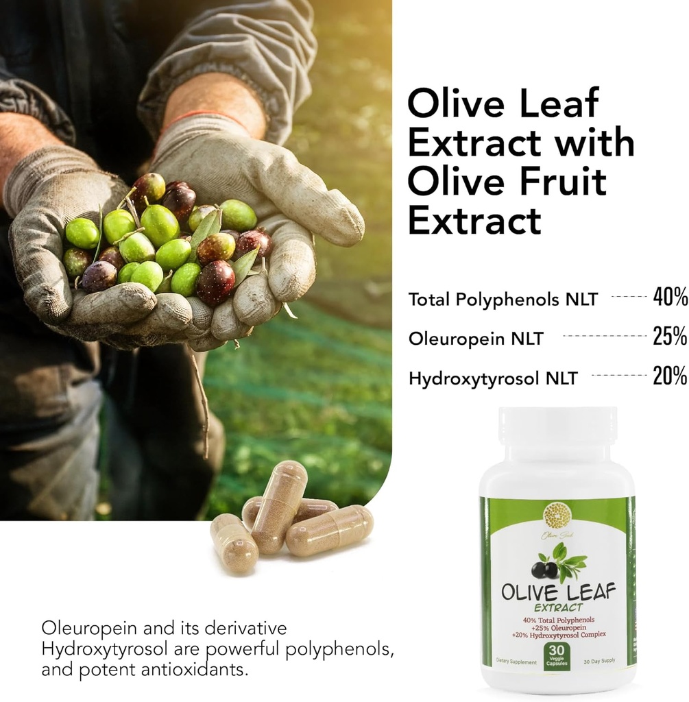 olive-leaf-extract---500mg---supplement--4.jpg