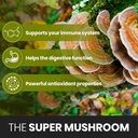 turkey-tail-mushroom-capsules-immune-sys-3.jpg