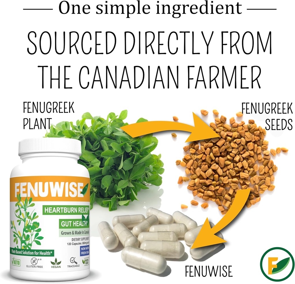 natural-fenugreek-fiber-capsule-suppleme-6.jpg