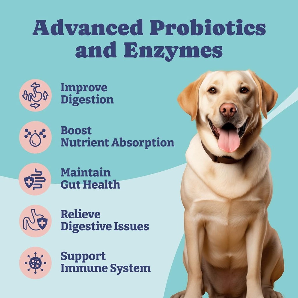 probiotics-for-dogs-for-gut-health-and-d-3.jpg