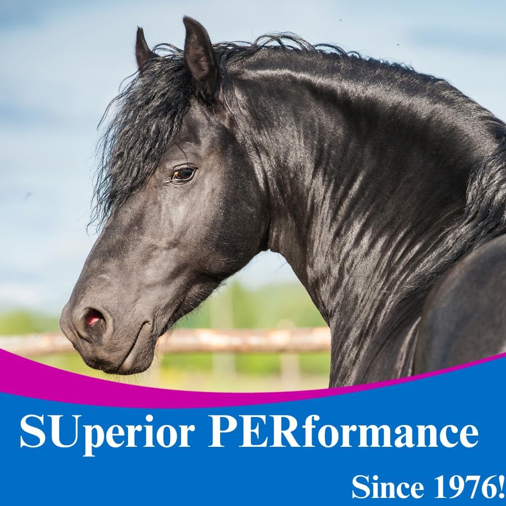 su-per-dmg-3000-horse-supplement---train-5.jpg