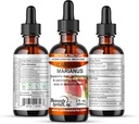 heavenly-herbals-inc-carduus-marianus-q--2.jpg