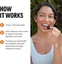 force-factor-modern-mushrooms-soft-chews-4.jpg