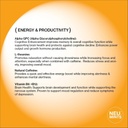 nootropic-energy-focus-mints-60-pieces---4.jpg