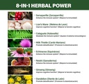 sarsaparilla-kalawalla-root-polypodium-l-3.jpg