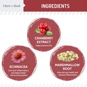 dog-uti-treatment-cranberry-supplement-f-2.jpg