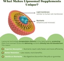 liposomal-kids-liquid-multivitamin-non-g-4.jpg